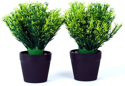 OM COLLECTIONS Green Wild Flower Artificial Flower  with Pot(7.5 cm, Pack of 3, Flower Bunch)