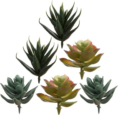 KUBER INDUSTRIES Flowers Succulent Leaves|Artificial Succulent Leaves for office|Pack of 6|Green Green Orchids Artificial Flower(4 inch, Pack of 6, Single Flower)