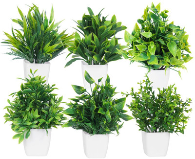 Dekorly MN05092023001 Bonsai Wild Artificial Plant  with Pot(17 cm, Green)