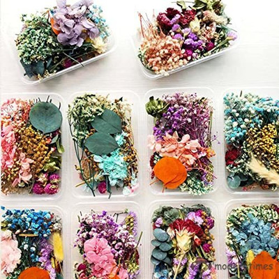 Geek Arts r Dried Flowers Mix DIY Decoration & Handmade Gifts [Random Box - Pack of 1]