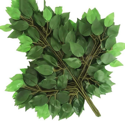 vrct Artificial Ficus Tree Leaves Branches | 6 Pcs Silk Green Leaves Plants Green Ballmum Artificial Flower(60.96 cm, Pack of 6, Garlands)