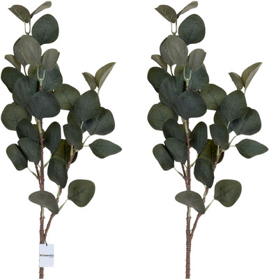 HOMESTIC by Kuber Industries Artificial Flower Eucalyptus|Flower Orchid for Vase Pot|Pack of 2|Green Green Orchids Artificial Flower(24 inch, Pack of 2, Single Flower)