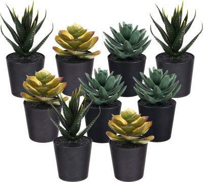 KUBER INDUSTRIES Flowers Succulent Plant|Artificial Succulent Plant for office|Pack of 9|Black Black Orchids Artificial Flower(6 inch, Pack of 9, Single Flower)