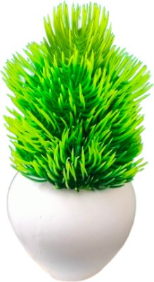 SURJEET Decorative Green Wild Flower Artificial Flower  with Pot(14 cm, Pack of 1, Flower with Basket)