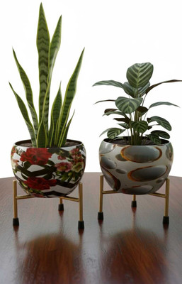 R S DESIGN CO Luxury Multicolor Anthurium Artificial Flower(30 cm, Pack of 2, Flower Bunch)