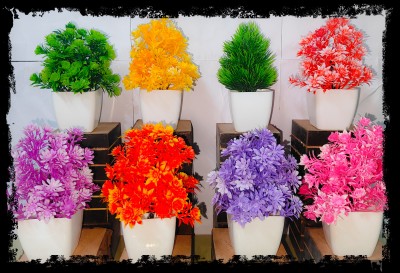 Jaymaa Collection Multicolor Wild Flower Artificial Flower  with Pot(6 cm, Pack of 5, Single Flower)