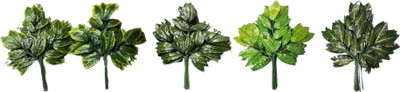 Green Plant indoor Artificial Mango Leaves Artificial Plant(15 cm, Green)