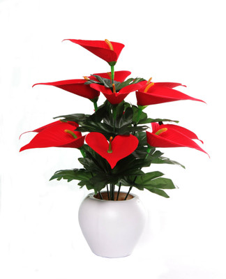 Wild Flower Anthurium Banch with Pot Red Anthurium Artificial Flower  with Pot(12 inch, Pack of 1, Flower with Basket)