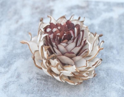 JOYNAGAR Eco-Friendly Handcrafted Ayana Sola Wood Flowers(20 pcs) White, Brown Peony, Lotus Artificial Flower(3.2 inch, Pack of 20, Flower Bunch)