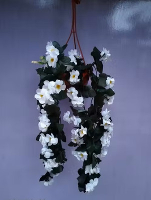 Bloom Boom Artificial Wall hanging Creepers Flower White Daisy Artificial Flower  with Pot(32 cm, Pack of 1, Vine & Creepers)