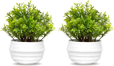 GOVIC Set of 2 Pcs Artificial Coriander Leaf Green Grass Flower Plant, Green Wild Flower Artificial Flower  with Pot(5.5 inch, Pack of 2, Flower with Basket)
