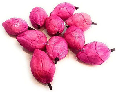 vrct Artificial Sola Wood Paper Fake Lotus Bud Flowers for Decorations Garland Making Pink Lotus Artificial Flower(6 cm, Pack of 10, Single Flower)
