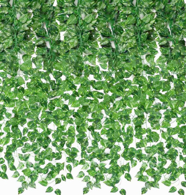 MIDNIGHT ART Artificial Money Plant Bail pack of 3 for home decor wall hanging Green Wild Flower Artificial Flower(210 cm, Pack of 3, Vine & Creepers)