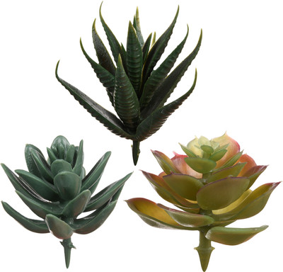 KUBER INDUSTRIES Flowers Succulent Leaves|Artificial Succulent Leaves for office|Pack of 3|Green Green Orchids Artificial Flower(4 inch, Pack of 3, Single Flower)