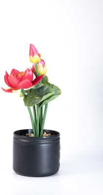 LE'SIJA DECORATIONS Artificial Lotus Flower with Black Pot with real stone with Red Blooms Red Lotus Artificial Flower  with Pot(24 cm, Pack of 3, Flower with Basket)