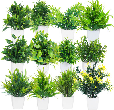 Dekorly MN05092023001 Bonsai Wild Artificial Plant  with Pot(17 cm, Green)