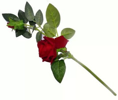 Flipkart SmartBuy Natural Looking Artificial Flower For Home, Office And Garden Decor Red Rose Artificial Flower(18 inch, Pack of 1, Single Flower)