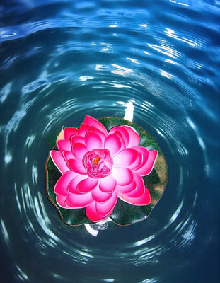 PSGREENGALAXY Floating Lotus Pink Lotus Artificial Flower(10.6 cm, Pack of 1, Single Flower)