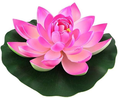 Aakriti Artificial Floating Lotus Flowers with Rubber Leaf Pink Lotus Artificial Flower(18 cm, Pack of 1, Single Flower)