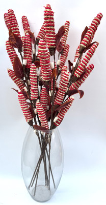 PUPRIWALL Palm Tree Dry Flower Red Dried Sticks, Orchids Artificial Flower(26 inch, Pack of 1, Flower Bunch)