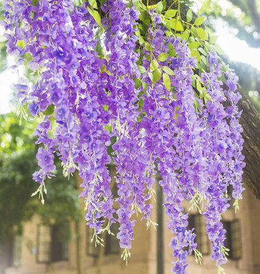 BBB Purple Westeria Artificial Flower(43.2 cm, Pack of 3, Vine & Creepers)