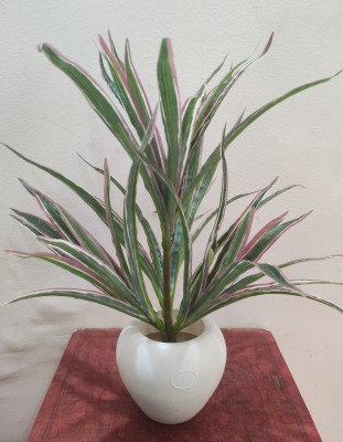 BAARIG 4 Branches (40 Leaves) Spider Plant with Stylish White Pot Artificial Plant  with Pot(35 cm, Green, Red)