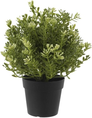 Satvat Enterprise Artificial Potted Plant with Pot|Bonsai Plants for Living Room Office Decor Bonsai Wild Artificial Plant  with Pot(24 cm, Green)