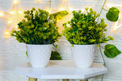 Leafora Artificial Green Fenugreek leaves plant with white heavy plastic pot , wild Plan Wild Artificial Plant  with Pot(16 cm, Green)