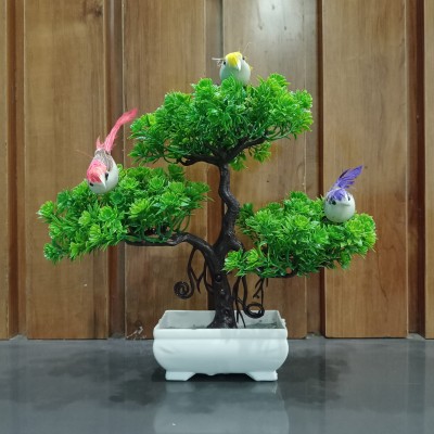 Decogreen PPS G 3BIRDS SHIP POT, H, Office Money Plant Living Room Interior Design Garden Bonsai Wild Artificial Plant  with Pot(22 cm, Green)