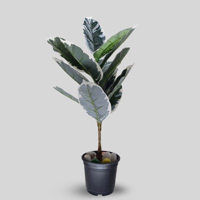 VIVARS CRAFT Artificial Calathea Zebrina Plant Wild Artificial Plant(70 cm, Green)