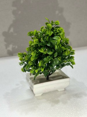apardecor The Origin of the Bonsai Tree Bonsai Wild Artificial Plant  with Pot(22 cm, White, Green)