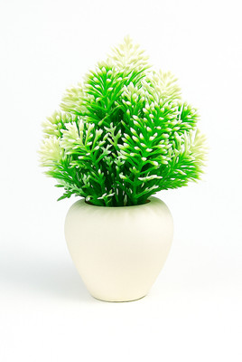 SKIDecor Artificial Green Plant in White Ceramic Pot, Home Decor Bonsai Wild Artificial Plant  with Pot(18 cm, White, Green)