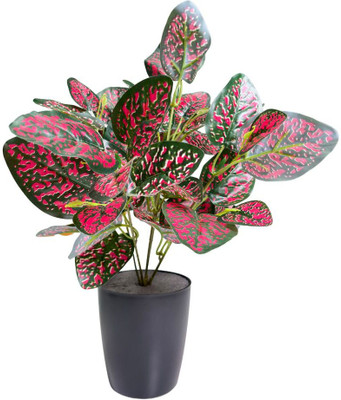 De Gardenia Artificial Croton Plant for Home & Office Décor Artificial Plant(30 cm, Red)
