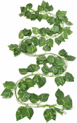 VIMIBELLS 8ft Set of 3 Artificial Money Plant Vine For |Home|wall|Office|Garden|Decoration Artificial Plant(4 cm, Green)