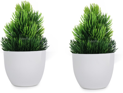 HOF Artificial Flowers Plants ,Bonsai Artificial Plant with Pot Pack of 2 Bonsai Artificial Plant  with Pot(11 cm, Green)