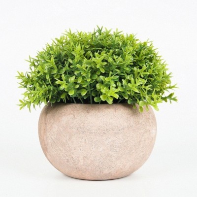 ELITEHOME Green Home Decor Wild Artificial Plant  with Pot(7.62 cm, Green)