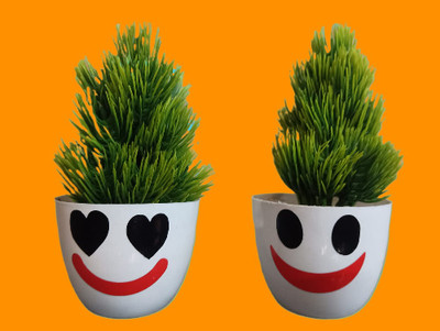 BZILO Cute Artificial Plants for Home Décor Emoji Varient Design Pack of 2 P70 Bonsai Wild Artificial Plant  with Pot(10 cm, Multicolor)