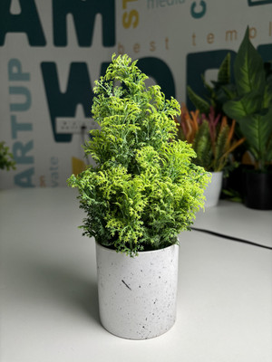 De Gardenia De Gardenia Artificial Green Plant with Pot – Tabletop Décor Bonsai Artificial Plant  with Pot(20 cm, Green)