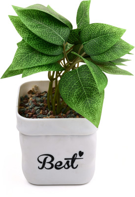 GREENZY Bonsai Artificial Plant  with Pot(18 cm, Green)