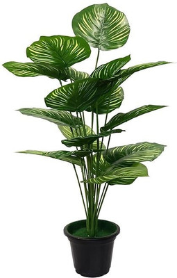 De Gardenia Artificial Palm Plants Leaves Faux Turtle Artificial Plant  with Pot(76 cm, Green)
