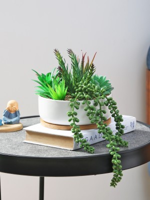 FOURWALLS Artificial Succulent Plant with a CeramicPot and a Wooden Coaster for Home Décor Bonsai Artificial Plant  with Pot(15 cm, Multicolor)