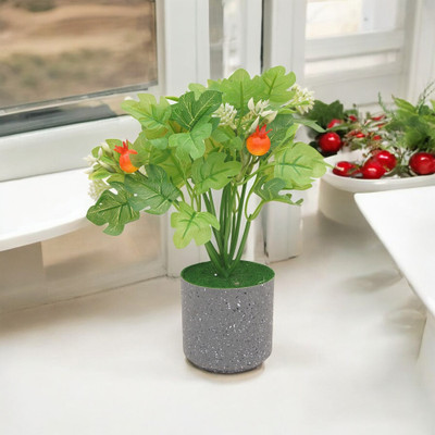 Yash Enterprises Yash Enterprises Anar Fruit Bonsai Artificial Plant  with Pot(28 cm, Red)