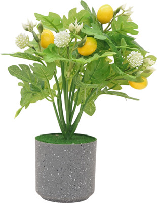 Yash Enterprises Pear Fruit Bonsai Bonsai Artificial Plant  with Pot(28 cm, Yellow)