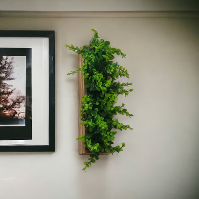 Litleo for wall Decoration with Heavy 2 Side Tape to stick, great for Gift Bonsai Artificial Plant  with Pot(30 cm, Green)