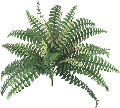 well art gallery Artificial Boston Fern Plants Greenery Bushes for House Office Garden Indoor Artificial Plant(60 cm, Green)