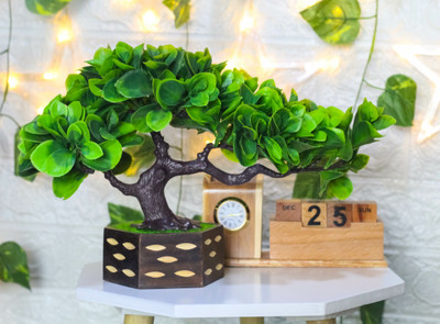 Leafora Artificial green Plants for Gifts and Home Decoration Bonsai Wild Artificial Plant  with Pot(22 cm, Green)