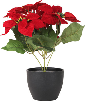one mittii Poinsettia Red Artificial Flower Plant with Pot Decoration in Office,Living Room Bonsai Wild Artificial Plant  with Pot(30 cm, Red, Black)