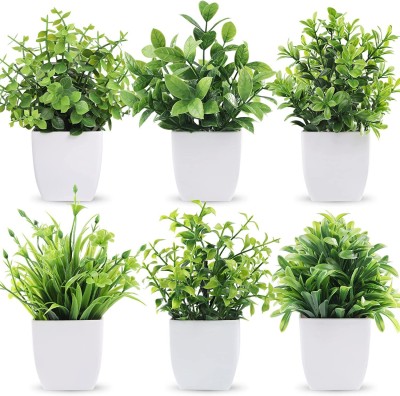 Dekorly 6 Packs Fake Small, Mini Indoor (PACK OF 6, Green) Bonsai Wild Artificial Plant  with Pot(17 cm, Green)