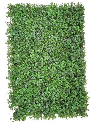 KCM Traints Vertical garden Artificial Plant(60 cm, Green)