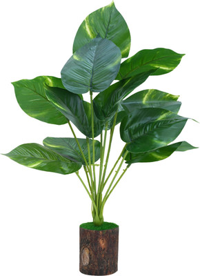 Yash Enterprises Bonsai Artificial Plant  with Pot(30 cm, Green)